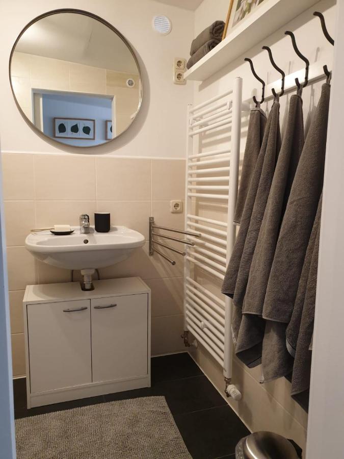 Ferienwohnung Lindenhof, Zentrumsnah Mit Terrasse Und Grillmoeglichkeit Magdeburg Exteriör bild
