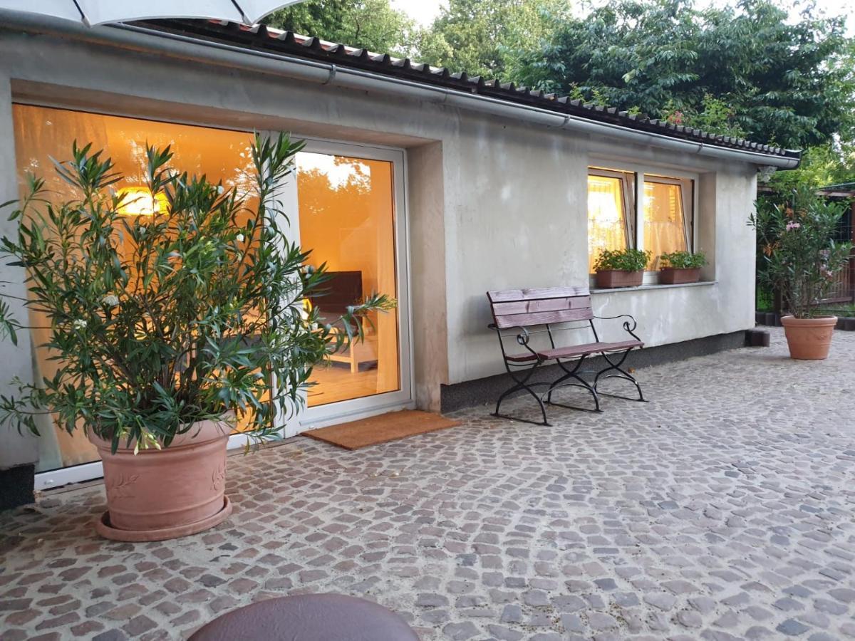 Ferienwohnung Lindenhof, Zentrumsnah Mit Terrasse Und Grillmoeglichkeit Magdeburg Exteriör bild