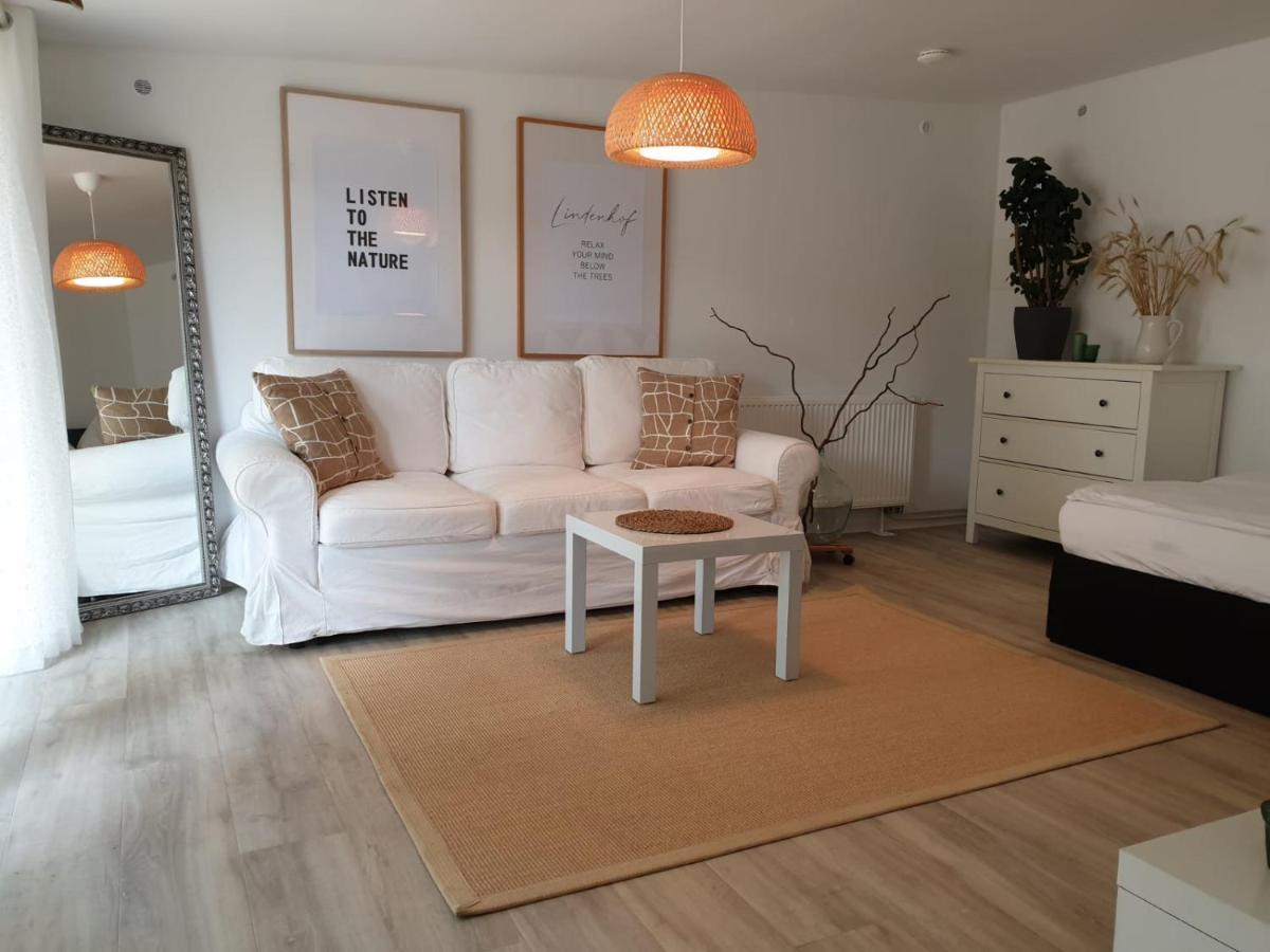 Ferienwohnung Lindenhof, Zentrumsnah Mit Terrasse Und Grillmoeglichkeit Magdeburg Exteriör bild