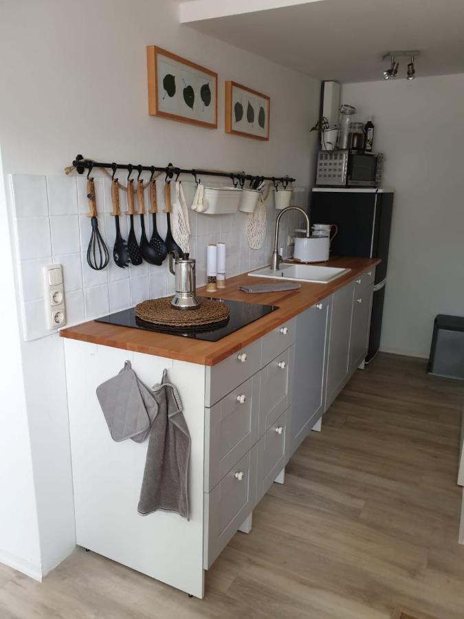 Ferienwohnung Lindenhof, Zentrumsnah Mit Terrasse Und Grillmoeglichkeit Magdeburg Exteriör bild