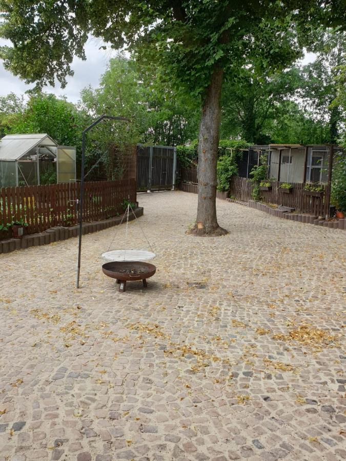 Ferienwohnung Lindenhof, Zentrumsnah Mit Terrasse Und Grillmoeglichkeit Magdeburg Exteriör bild